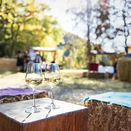 Apartment Heimeliges In Den Bergen *